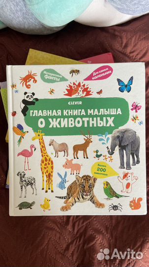 Детские книги Clever