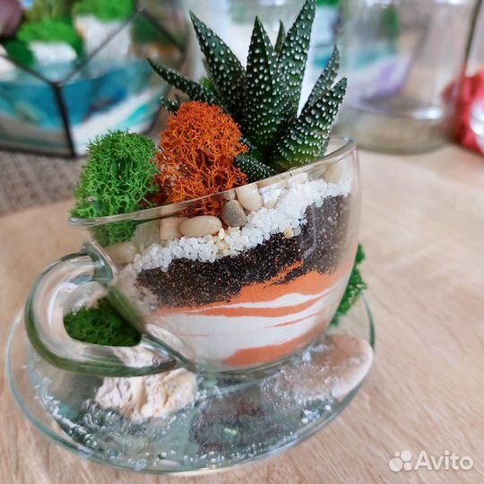 Мини флорариум с суккулентом, водопадом и водоёмом
