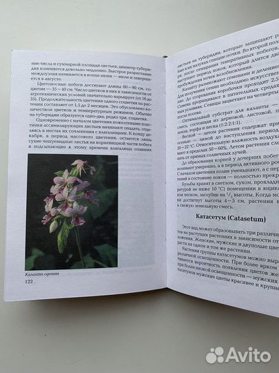 Экзотические растения