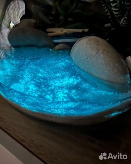 Флорариум с суккулентами и светящися водоемом