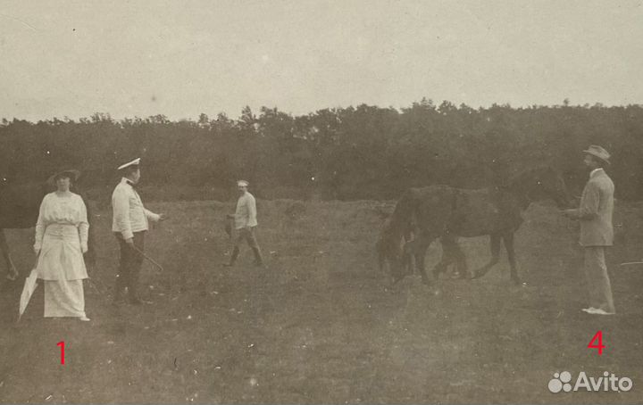 Татьяна Яковлева - муза и любовь Маяковского 1915