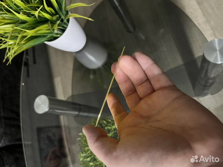 Защитные стекла на айфон 11/12/13/14/pro