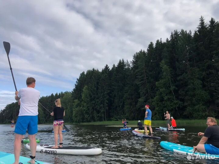 Сап аренда в Новой Москве (SUP прокат )