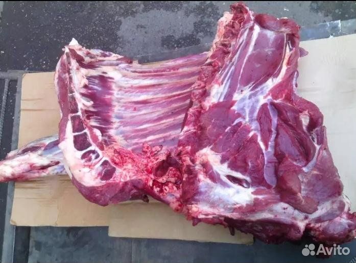 Мясо говядина домашняя