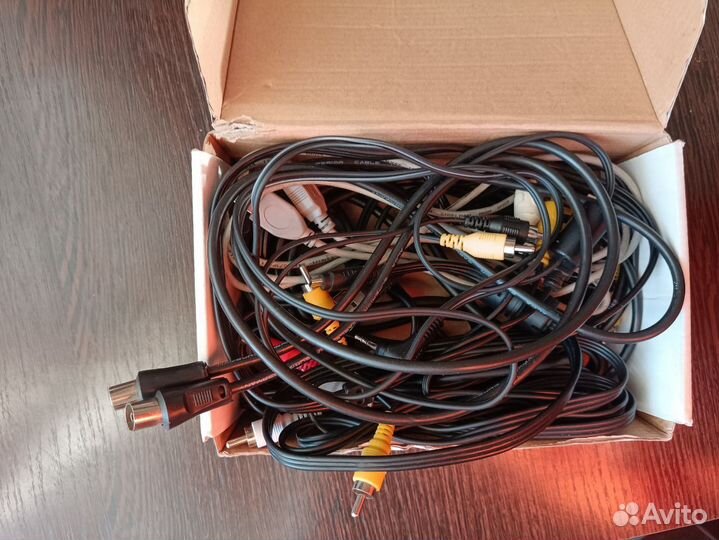 Тюльпаны провода