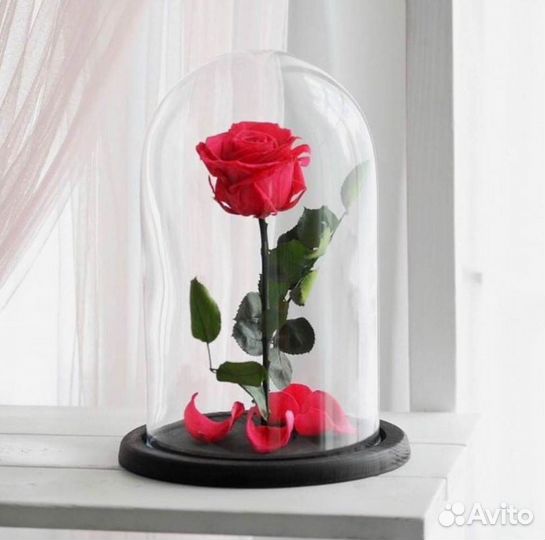 Роза в колбе. Стоит до 8 лет