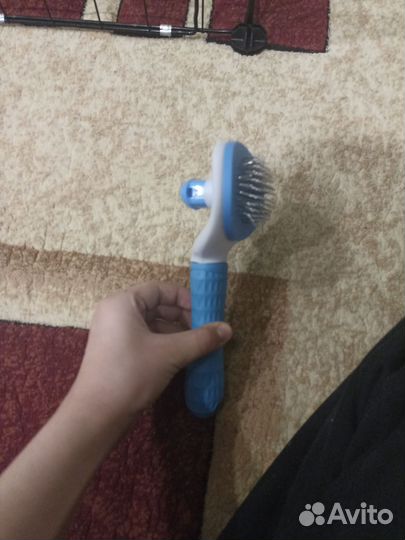 Вещи для собак