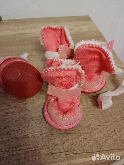 Обувь для собак мелких пород