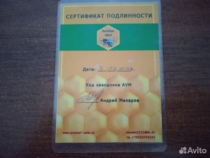 Пчелопакеты. Матки пчелиные. Бакфаст и Карника