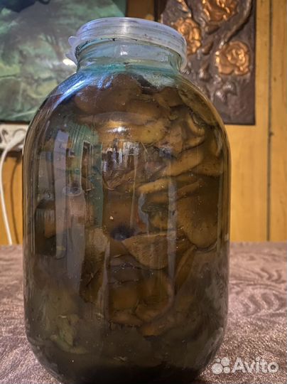 Грибы рыжики соленые