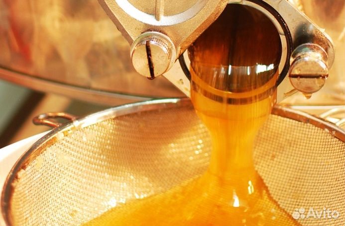 Мёд натуральный алтайский опт. от 16 кг