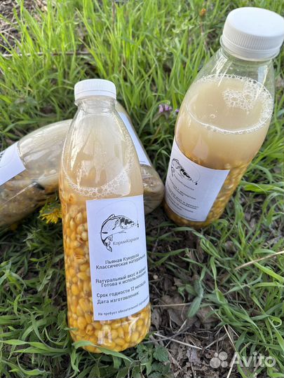 Прикормка для рыбалки