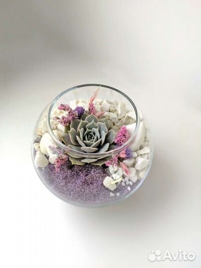 Флорариум шар-мини