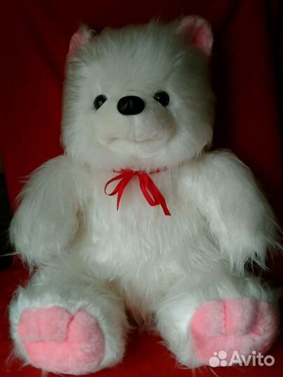 Новый большой медведь