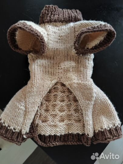 Одежда для собак