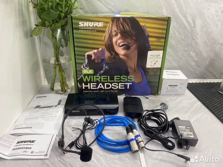 Shure-радиосистема головная с гарнитурой PGA31