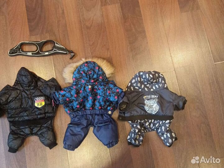 Костюм для собаки