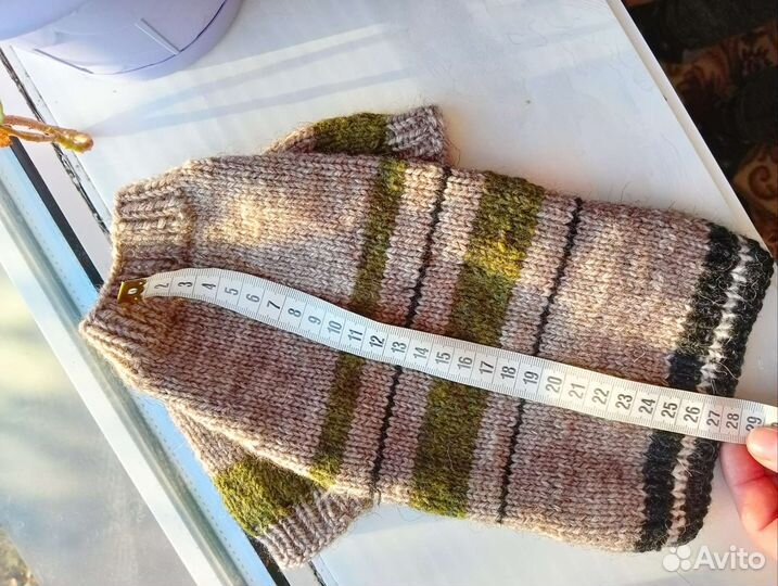 Одежда для кошек