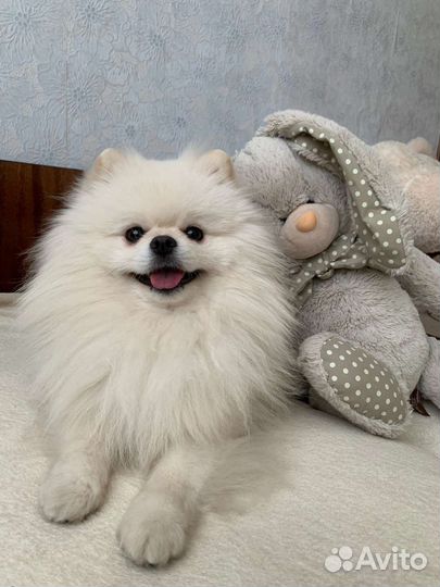 Вязка