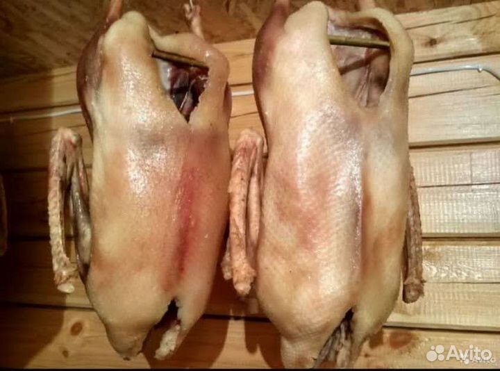 Гуси вяленые вкусные