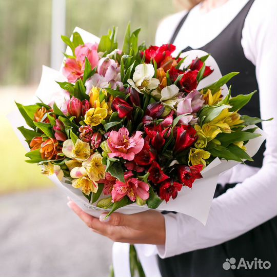 Альстромерия Микс Цветы Колумбия