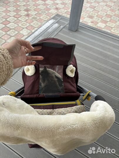 Коляска санки