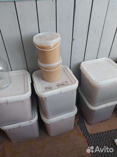 Мед алтайский