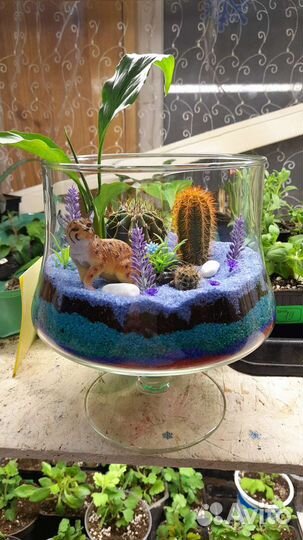 Флорариум стеклянный
