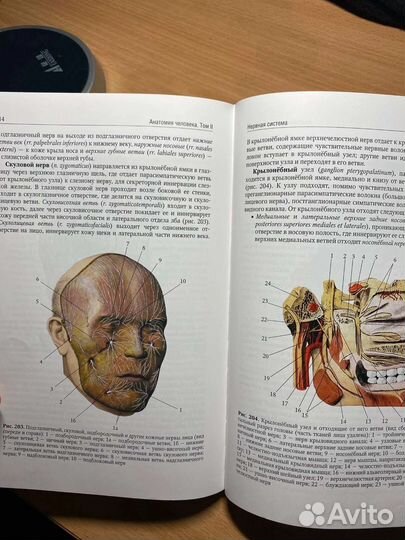 Учебник по анатомии Сапин 2 том (медицина)