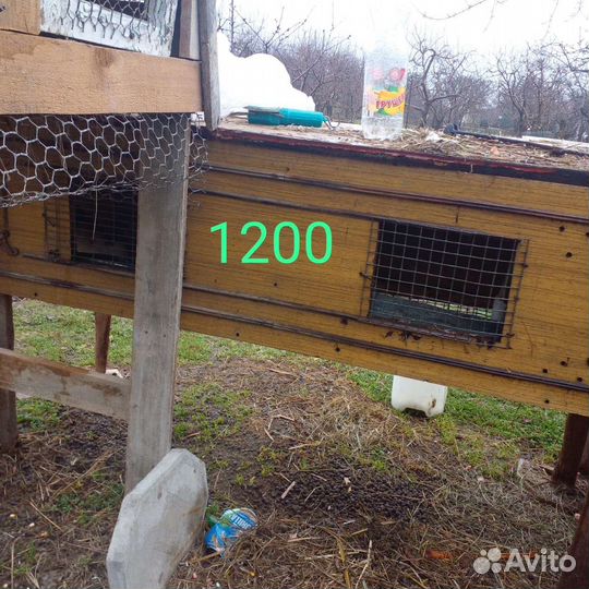 Крольчатник