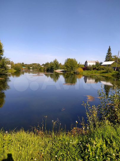 Участок 4,9 сот. (СНТ, ДНП)