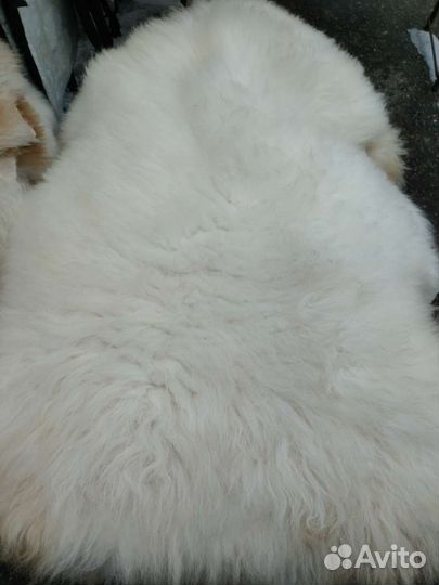 Овечья шкура 1,2-1,3 метра