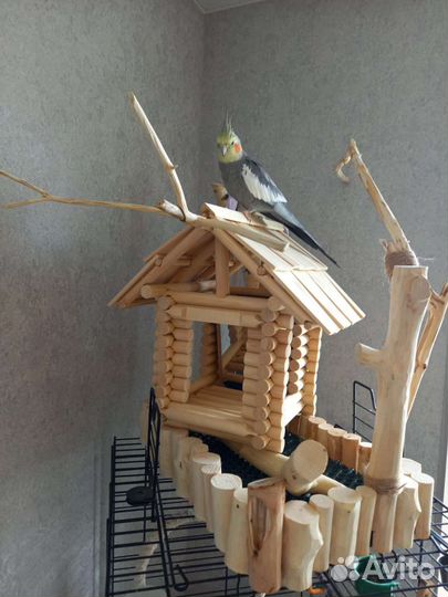 Домик для попугаев