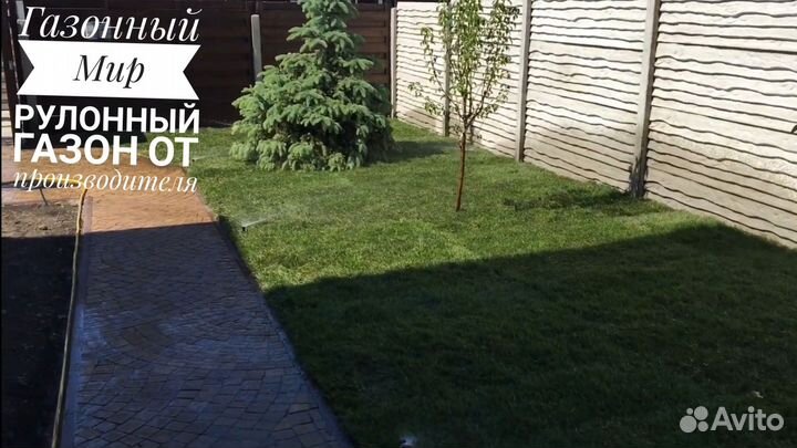 Рулонный газон