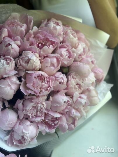 Пионы букет