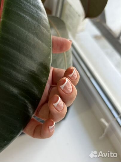 Идеальная архитектура укрепление ногтей гелем