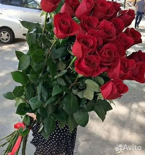 Высокие метровые розы Букеты Доставка