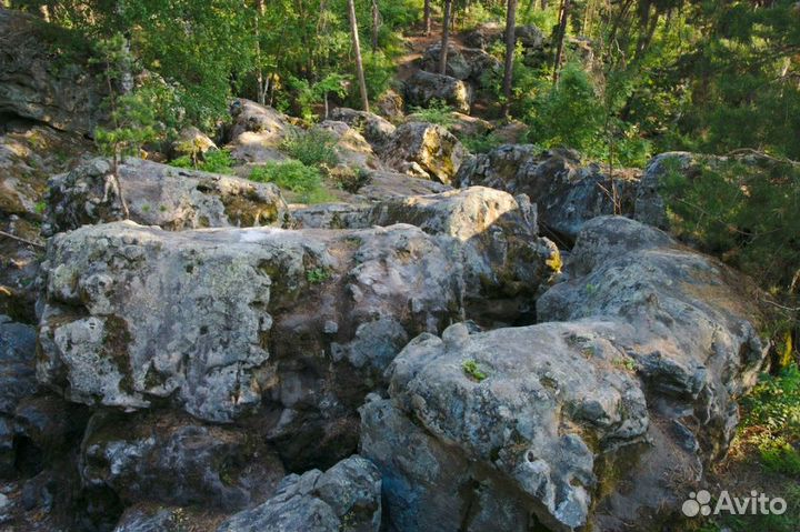 Новогодний тур на 2 дня 