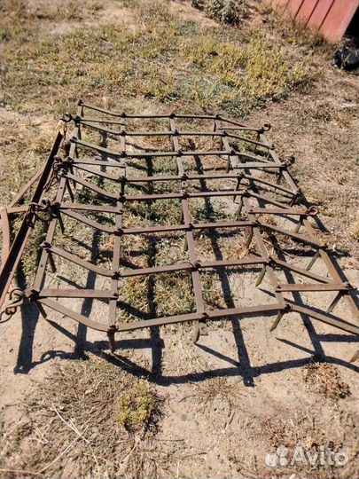 Боронки зубовые