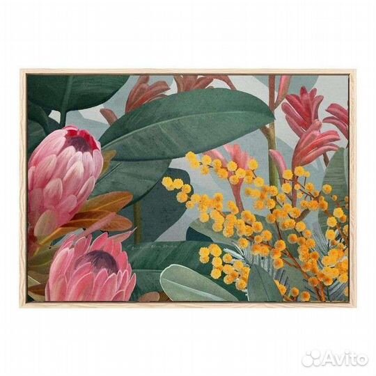 Картина тропики