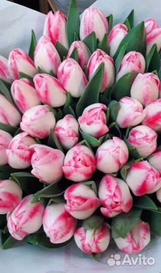 Тюльпаны к 8 марта 2024г