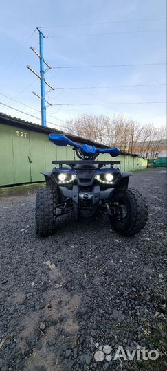 Avantis Hunter 8 new