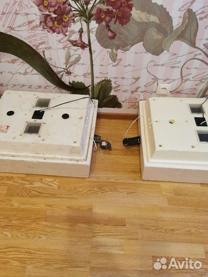 Инкубатор для яиц автоматический золушка