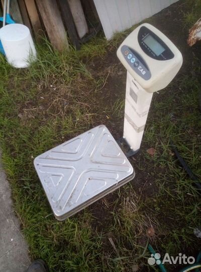Весы