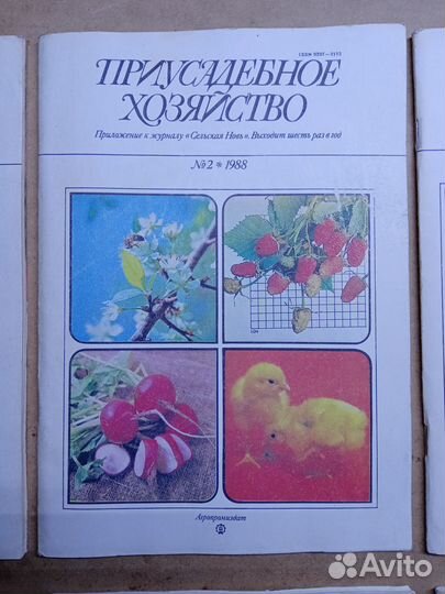 Приусадебное хозяйство 1988 год