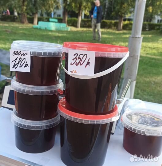 Мёд гречишный 2023