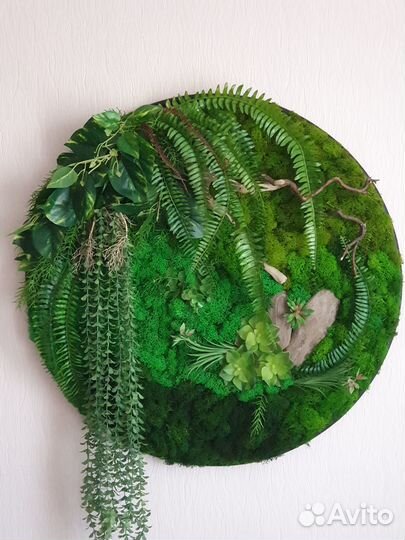 Фитокартина любого размера,формы и цвета