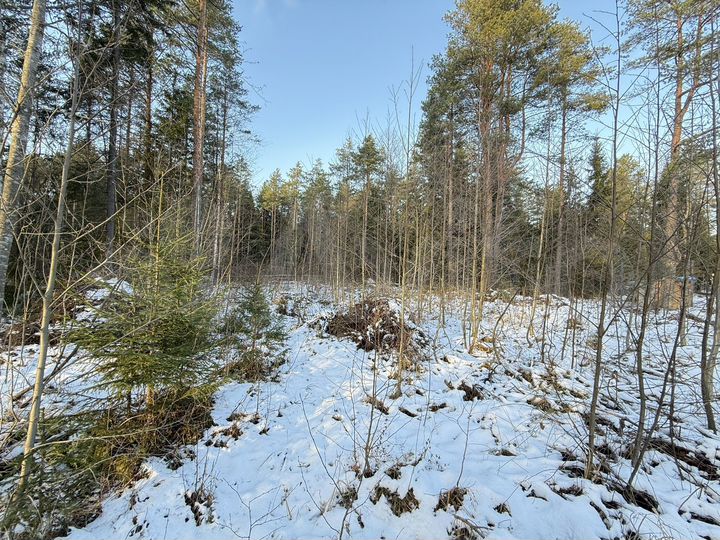 Участок 7,5 сот. (ИЖС)