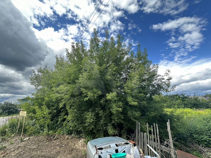 Участок 11 сот. (ИЖС)