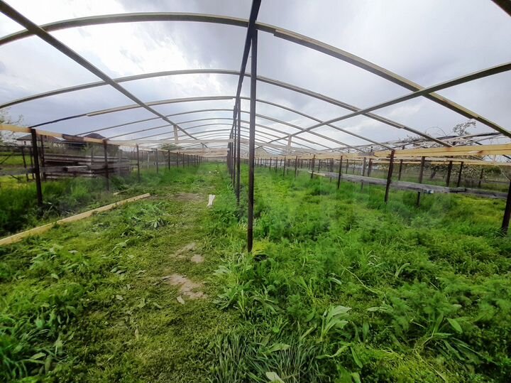 Дом 56 м² на участке 16 сот.